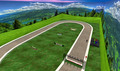 RACE TRACK FREE FOR RIDE